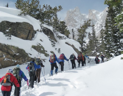 Have a quieter white winter