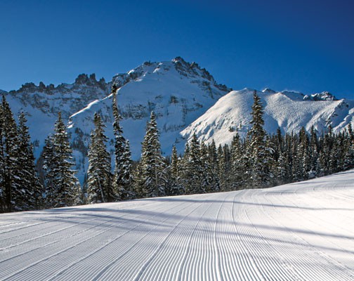 Desperately seeking snowfall