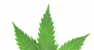 Roger Sherman and the 210,328 complications