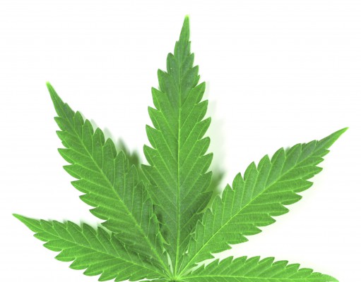 Roger Sherman and the 210,328 complications