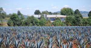 New tequila brand brings Mexican tradition to Boulder in a bottle