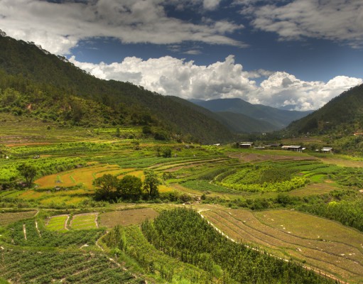 Falling in love with Bhutan
