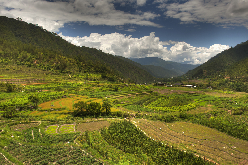 Falling in love with Bhutan