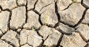 Climate reminder: 2012 still hottest ever in US