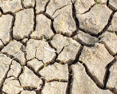 Climate reminder: 2012 still hottest ever in US
