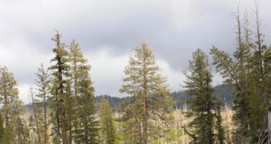 Group to lobby for bikes on Pacific Crest Trail