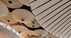 A well-designed and hospitable Kasa