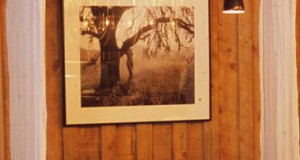 Tidbites | Sip some holiday cheer