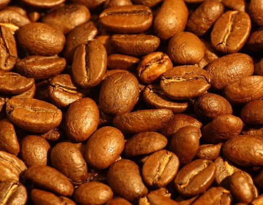 Eco-briefs | Coffee production could be shaken by climate change