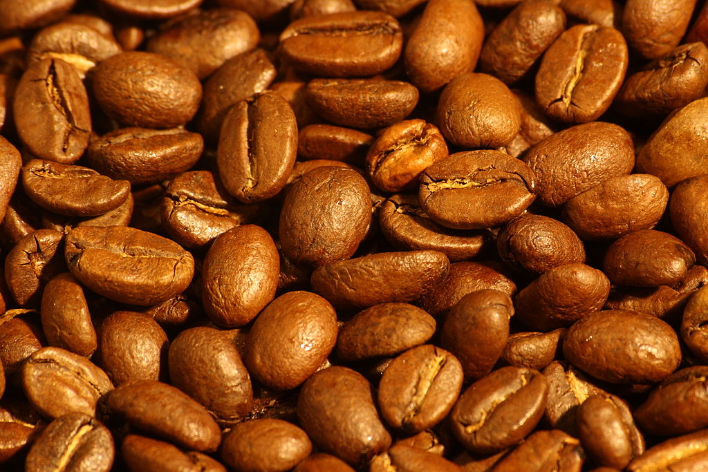 Eco-briefs | Coffee production could be shaken by climate change