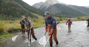 Unwelcome visitors: Invasive fish species spell trouble for Colorado waterways