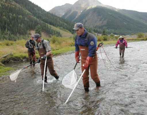 Unwelcome visitors: Invasive fish species spell trouble for Colorado waterways