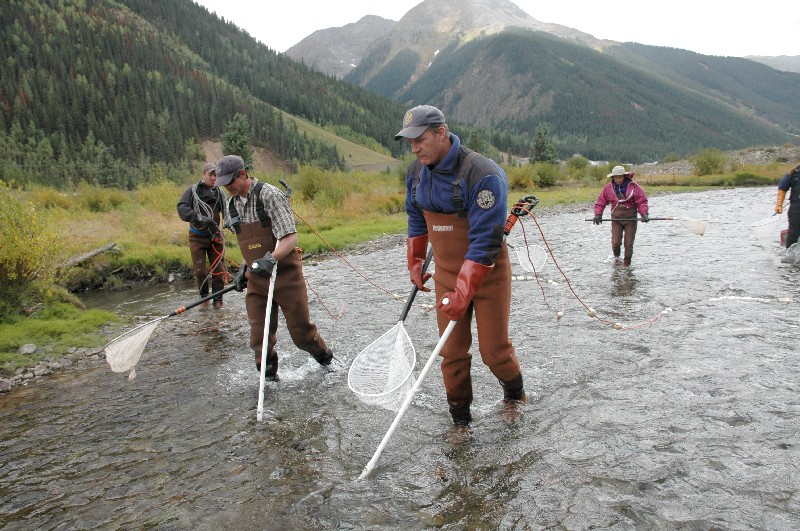 Unwelcome visitors: Invasive fish species spell trouble for Colorado waterways