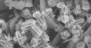 Health risks unknown for nanoparticles in food