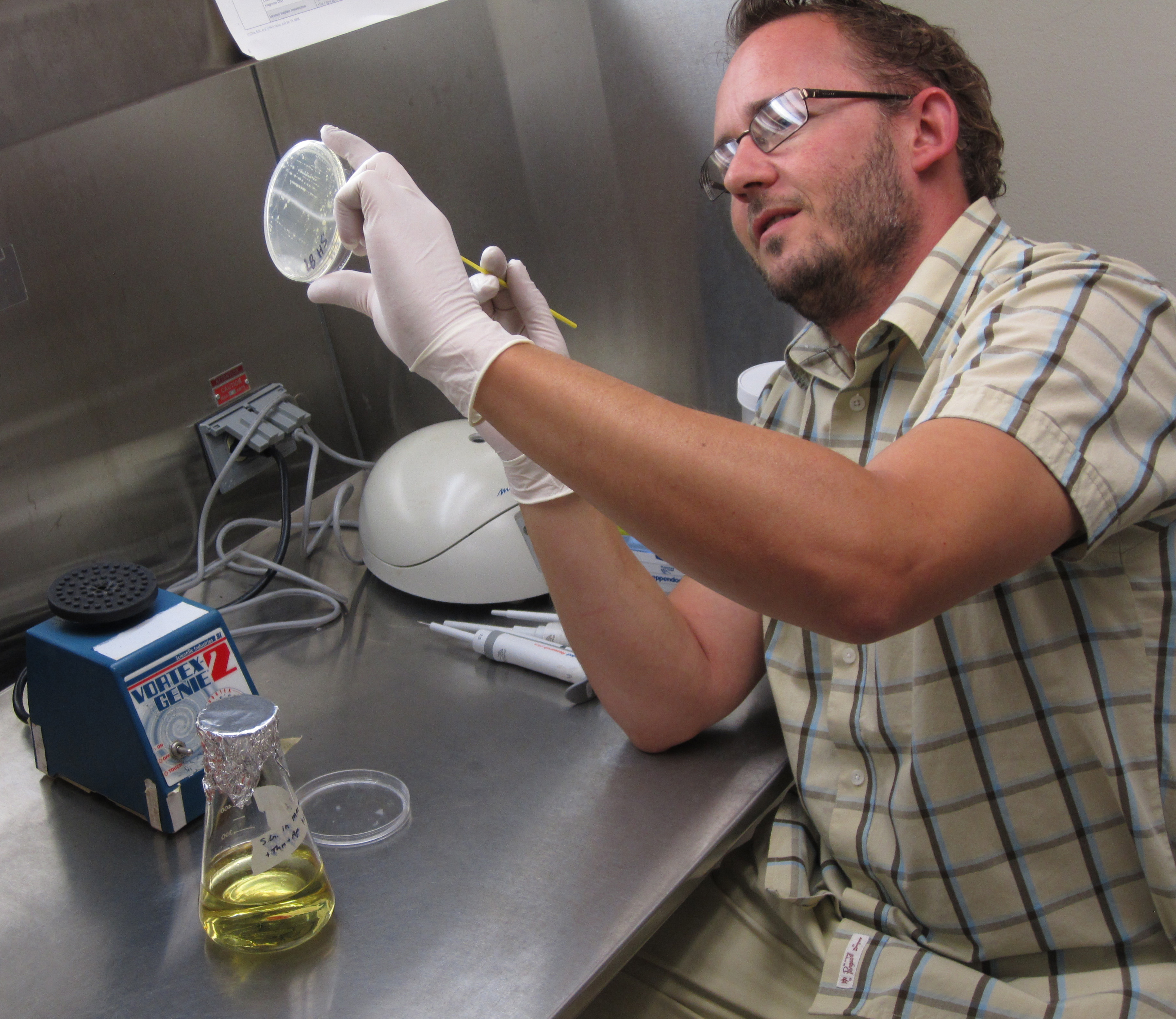 Eco-briefs | New bacterium explains symbiosis with insects