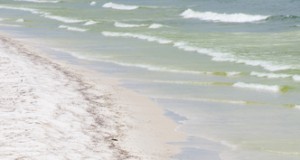 Dispersant-oil mix highly toxic in BP spill