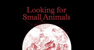 Words | Week of December 20, 2012