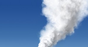 Ethnicity and the environment: Latinos join green movement