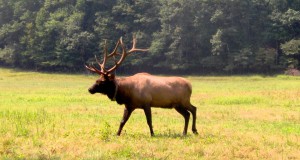 In case you missed it | Priorities, people