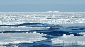 British ultrarunner postpones Arctic trip due to warm conditions