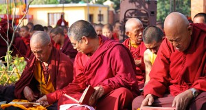 BIFF 2013: Find, save, copy, paste