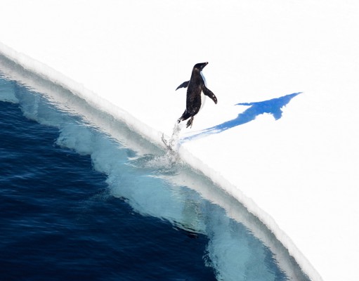 BIFF 2013: A final watery frontier