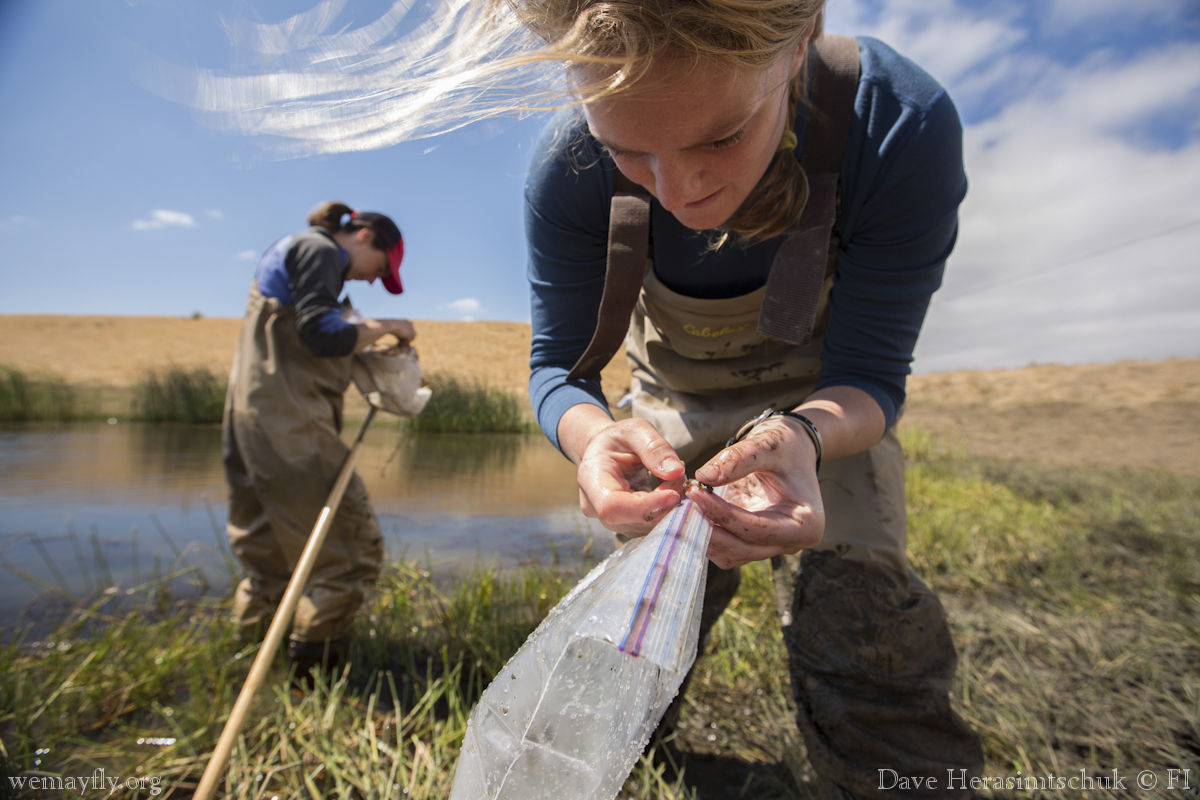 Eco-briefs | New University of Colorado study shows biodiversity protects against disease
