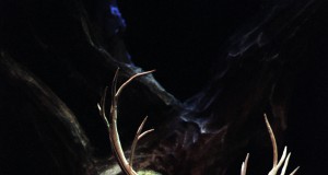 Verdi’s grand, operatic ending