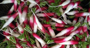 Taste buds to the rescue