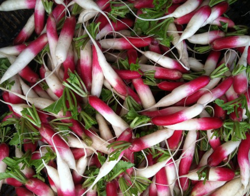 Taste buds to the rescue