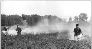 Lingering problems from a banned pesticide