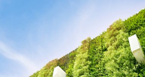 Green walls: How leaf-covered buildings can reduce pollution