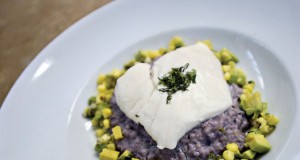 Harold’s is a cut above