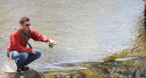 Boulder Creek’s bacteria battle