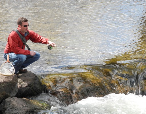 Boulder Creek’s bacteria battle