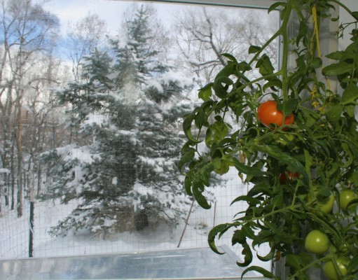 A greener way to grow