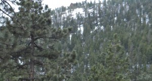 Searching for a road home