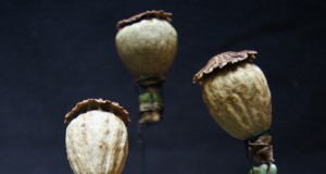 Naropa’s matchbox art fundraiser: Sparked to make a difference