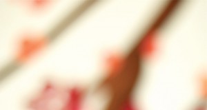 Magic is in the air at Shine