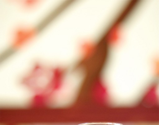 Magic is in the air at Shine