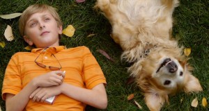 Community collaboration