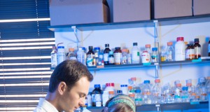 Your brain on yogurt