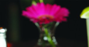 Zolo withstands the test of time