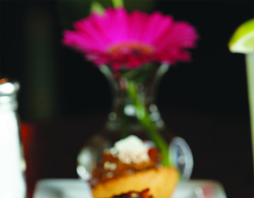 Zolo withstands the test of time