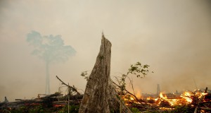 The other oil import