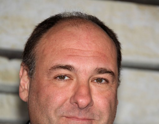 ‘The Sopranos,’ ‘Seinfeld’ ranked best-written shows in history