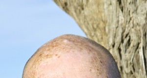 Taking a monkey wrench to climate change