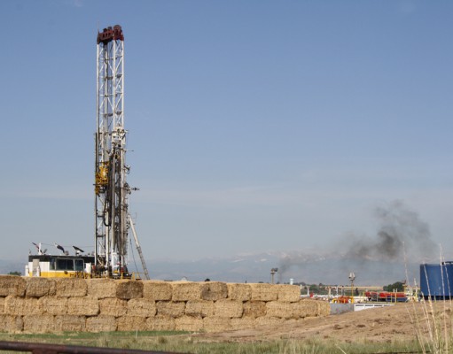 In case you missed it | Visit lovely NoColor!