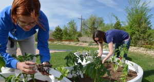 Therapy and better eating