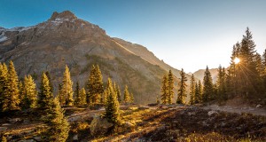 Venturing out of the box